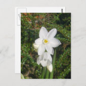 Carte postale Papier blanc (Devant / Derrière)