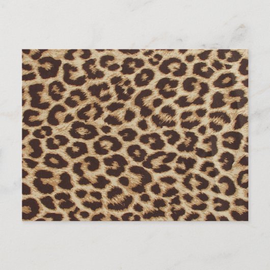 Carte Postale Papier Cheetah Skin (Devant)
