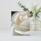 Carte Postale Papier floral rose blanche (Debout devant)