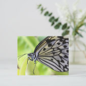 Carte Postale Papier papillon (Debout devant)
