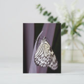 Carte Postale Papier papillon Kite sur violet (Debout devant)