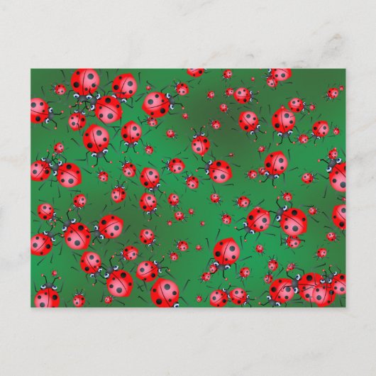 Carte Postale Papier peint Ladybug (Devant)