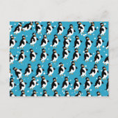 Carte Postale Papier peint Penguin (Devant)