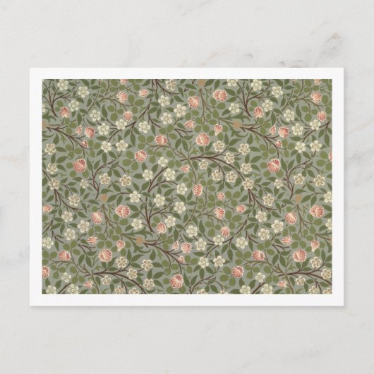 Carte Postale Papier peint rose et blanc (Devant)