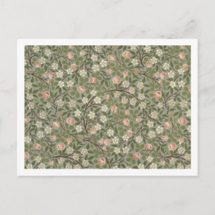 Carte Postale Papier peint rose et blanc