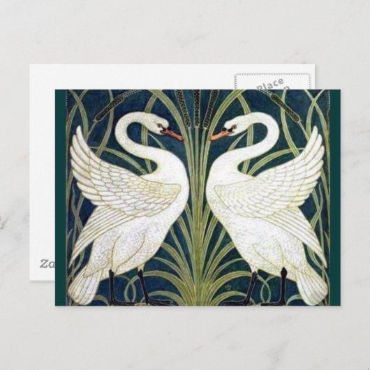 Carte Postale Papier peint Swan and Rush et Iris TBA décerné (Devant / Derrière)