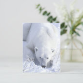 Carte Postale Papier polaire (Debout devant)