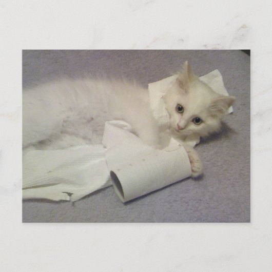 Carte Postale papier toilette (Devant)