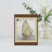 Carte postale Papier transparent (Debout devant)