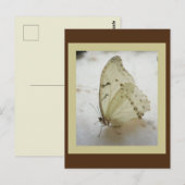 Carte postale Papier transparent (Devant / Derrière)