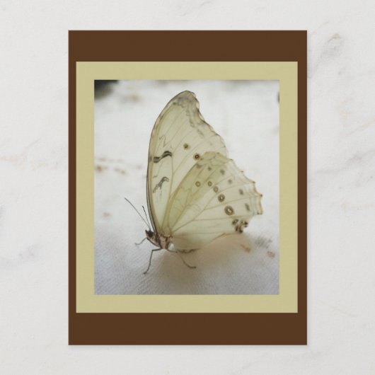 Carte postale Papier transparent (Devant)
