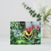 Carte postale Papier volant / Devis (Debout devant)
