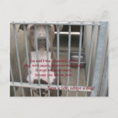 Carte Postale papiers (Devant)