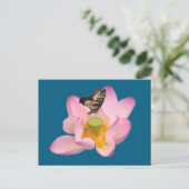 Carte Postale Papilio glaucus (Debout devant)