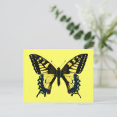 Carte Postale Papilio machaon (Debout devant)