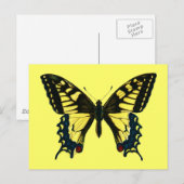 Carte Postale Papilio machaon (Devant / Derrière)