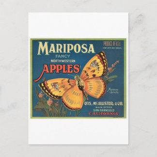 Carte Postale Papillon