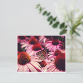 Carte Postale Papillon (Debout devant)