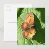 Carte Postale Papillon (Devant / Derrière)
