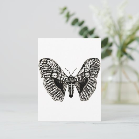 Carte Postale papillon (Debout devant)