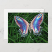 Carte Postale papillon (Devant / Derrière)