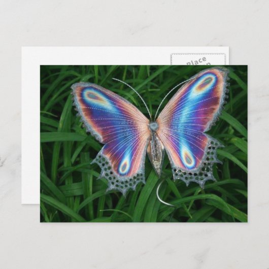 Carte Postale papillon (Devant / Derrière)