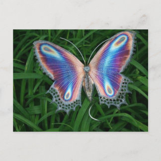 Carte Postale papillon