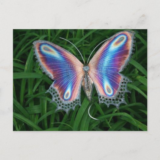 Carte Postale papillon (Devant)