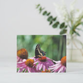 Carte postale papillon (Debout devant)