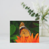 Carte Postale Papillon (Debout devant)