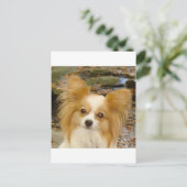 Carte Postale Papillon (Debout devant)