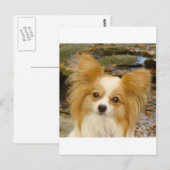 Carte Postale Papillon (Devant / Derrière)