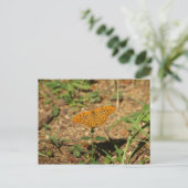 Carte Postale Papillon (Debout devant)