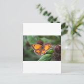 Carte Postale Papillon (Debout devant)