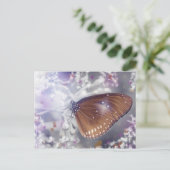 Carte Postale Papillon (Debout devant)