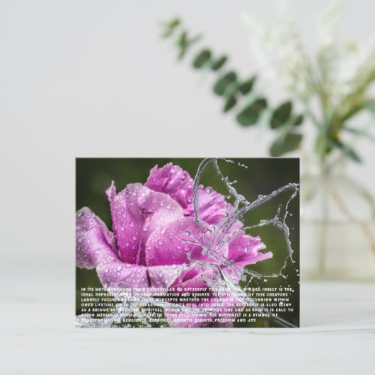 Carte postale papillon (Debout devant)