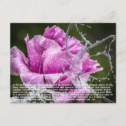 Carte postale papillon (Devant)