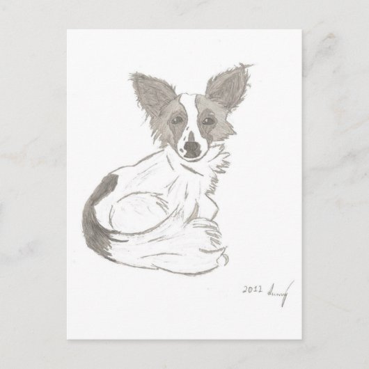 Carte postale Papillon (Devant)