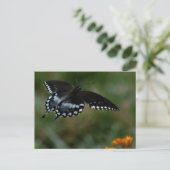 Carte postale papillon (Debout devant)
