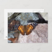 Carte Postale Papillon (Devant / Derrière)