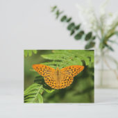 Carte Postale Papillon (Debout devant)