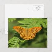 Carte Postale Papillon (Devant / Derrière)