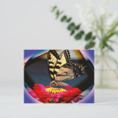 Carte postale Papillon (Debout devant)