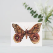 Carte Postale Papillon (Debout devant)