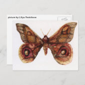 Carte Postale Papillon (Devant / Derrière)