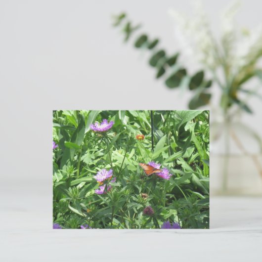 Carte Postale papillon (Debout devant)