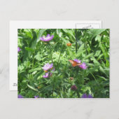 Carte Postale papillon (Devant / Derrière)