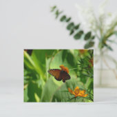 Carte Postale Papillon (Debout devant)