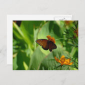 Carte Postale Papillon (Devant / Derrière)
