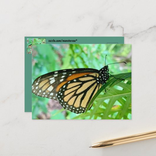 Carte postale papillon (Devant/Arrière en situation)